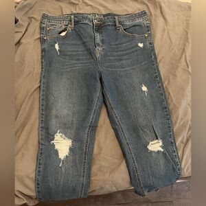 Wild Fable Distressed Jeans